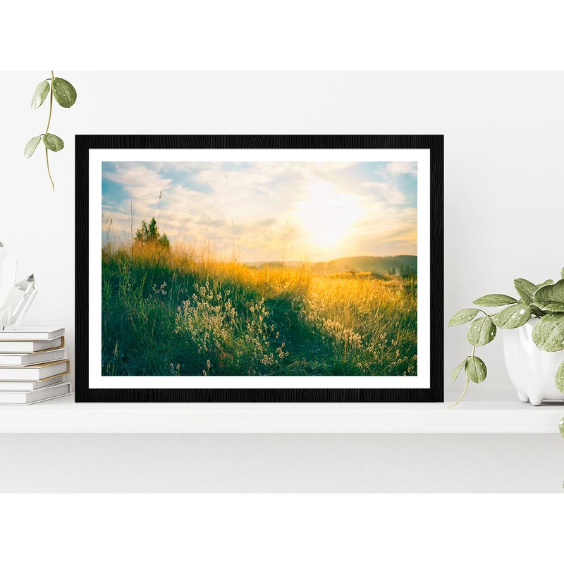 Blooming Wild Grass In Nature Glass Framed Wall Art, Ready to Hang Quality Print