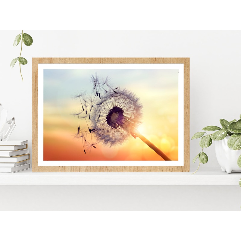 Dandelion Silhouette Sunset Glass Framed Wall Art, Ready to Hang Quality Print