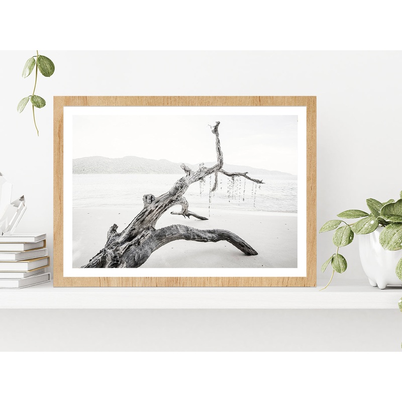 Tree Trunk Near Lake Faded Photograph Glass Framed Wall Art, Ready to Hang Quality Print