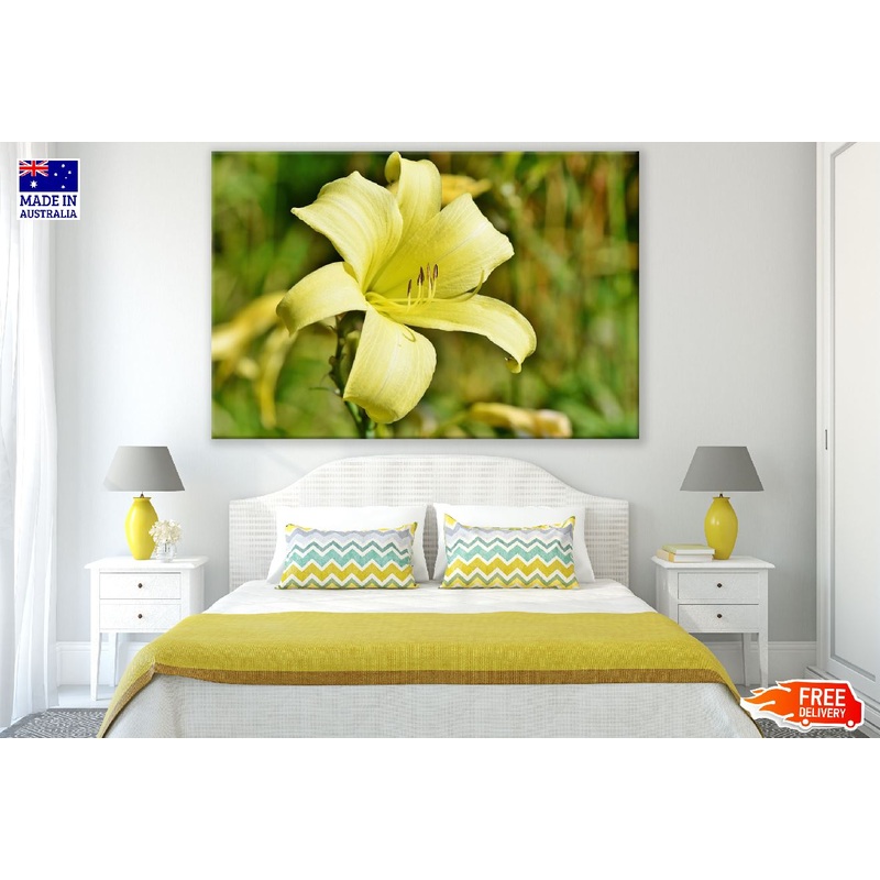 Yellow Lily Flower Closeup Photograph Print 100% Australian Made