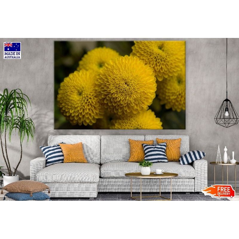 Yellow Spring Flower Closeup Photograph Print 100% Australian Made