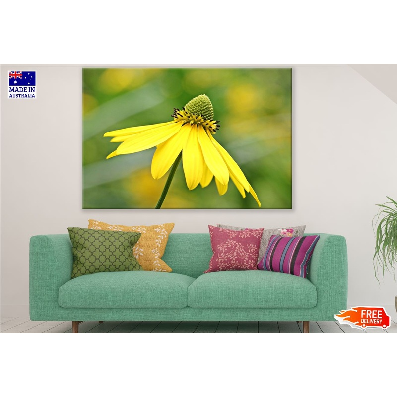 Yellow Sun Bride Flower Closeup Photograph Print 100% Australian Made