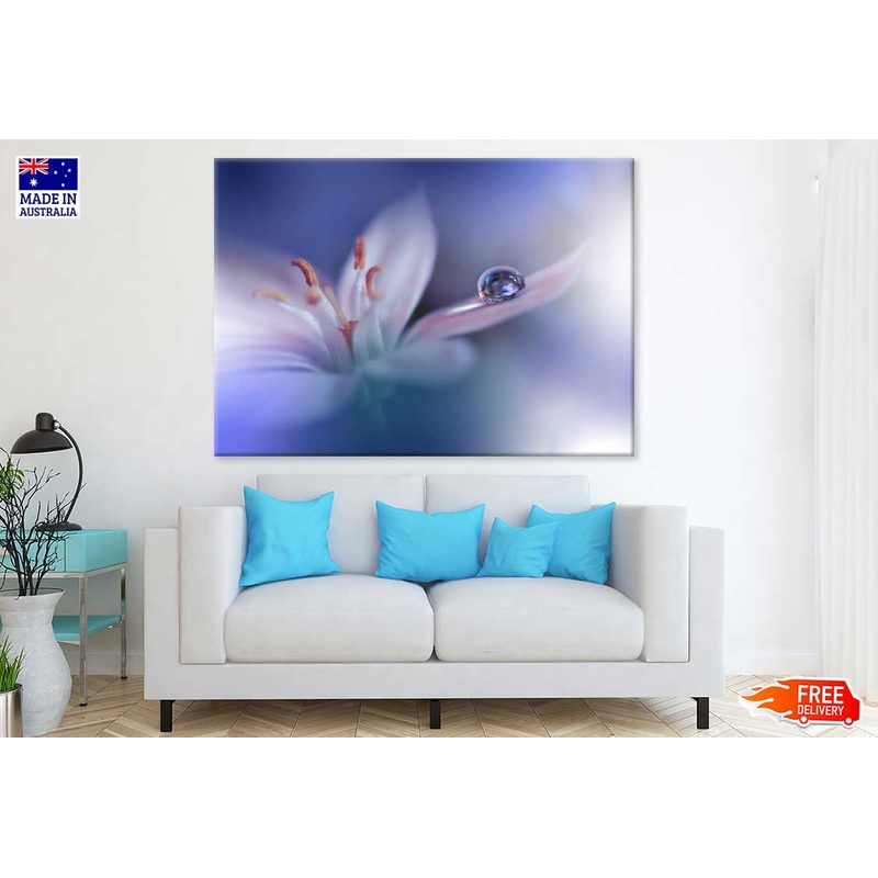 Water Drop on White Flower View Photograph Print 100% Australian Made