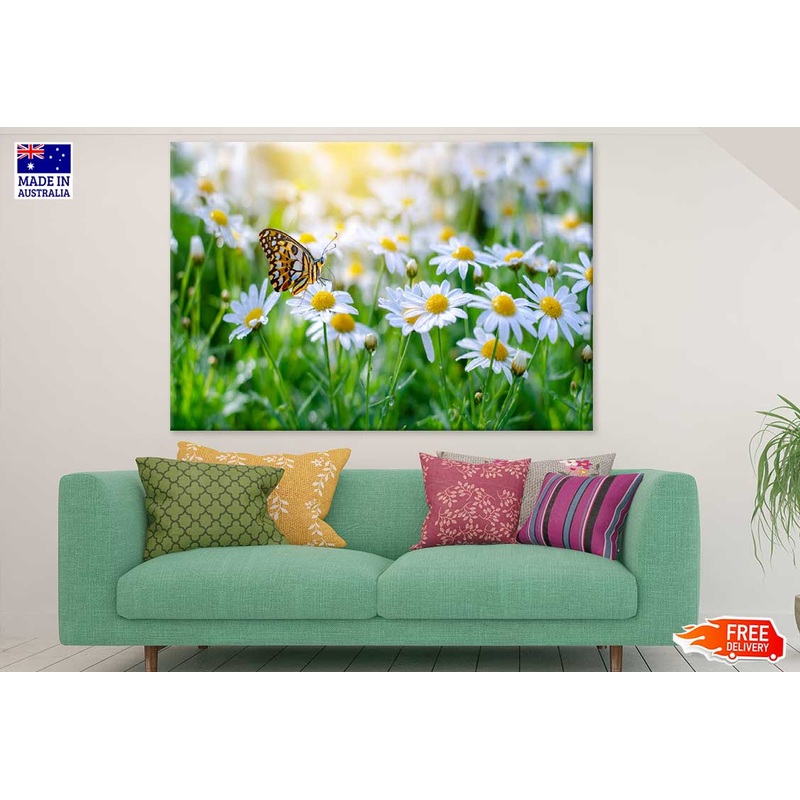White Blossom Flower Closeup View Photograph Print 100% Australian Made