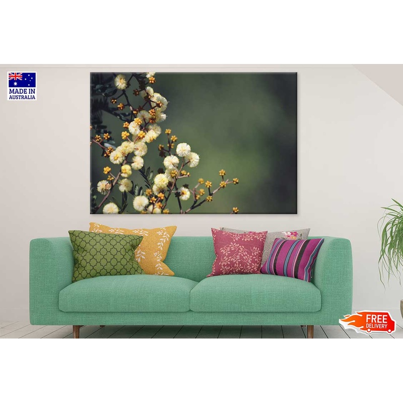 White Blossom Flowers Photograph Print 100% Australian Made