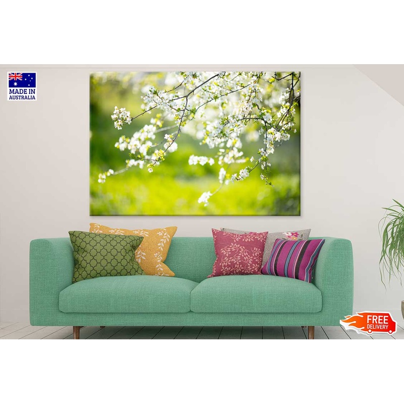White Blossom Tree Flowers View Photograph Print 100% Australian Made
