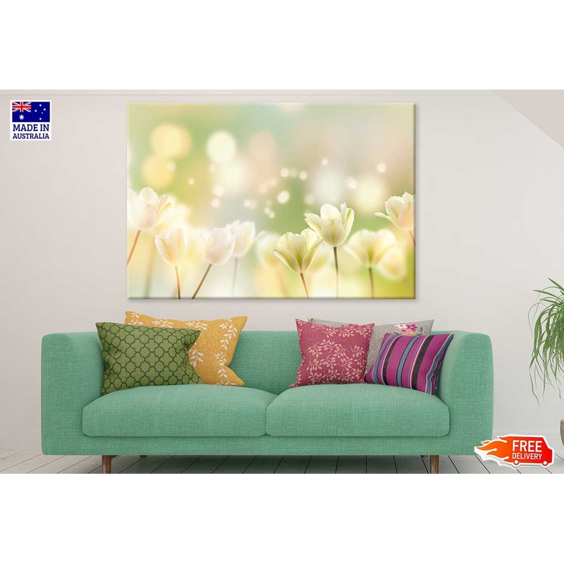 White Crocus Plant Flowers View Photograph Print 100% Australian Made