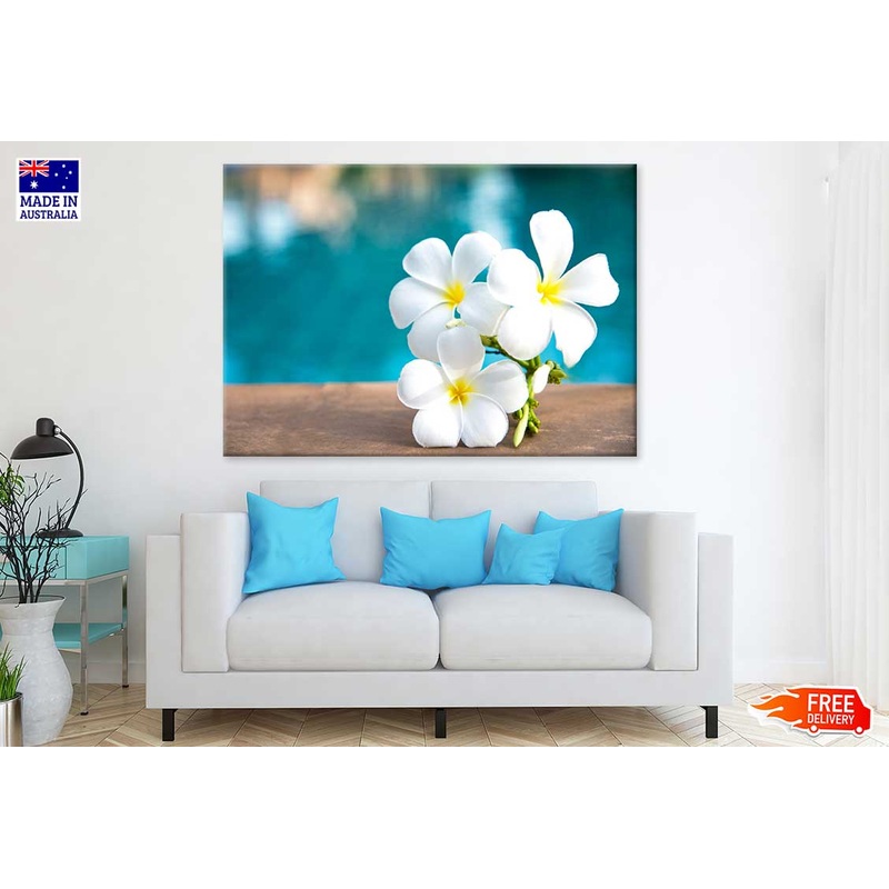 White Plumeria Flowers Photograph Print 100% Australian Made