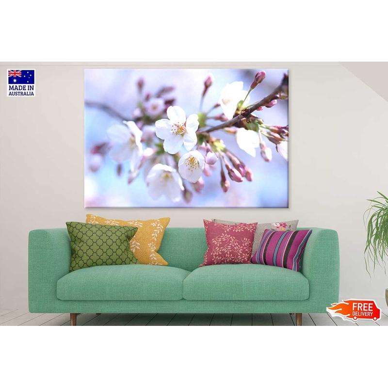White Sakura Flowers Branch View Photograph Print 100% Australian Made