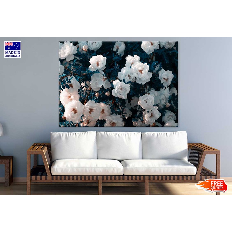 White Wild Rose Flowers View Photograph Print 100% Australian Made