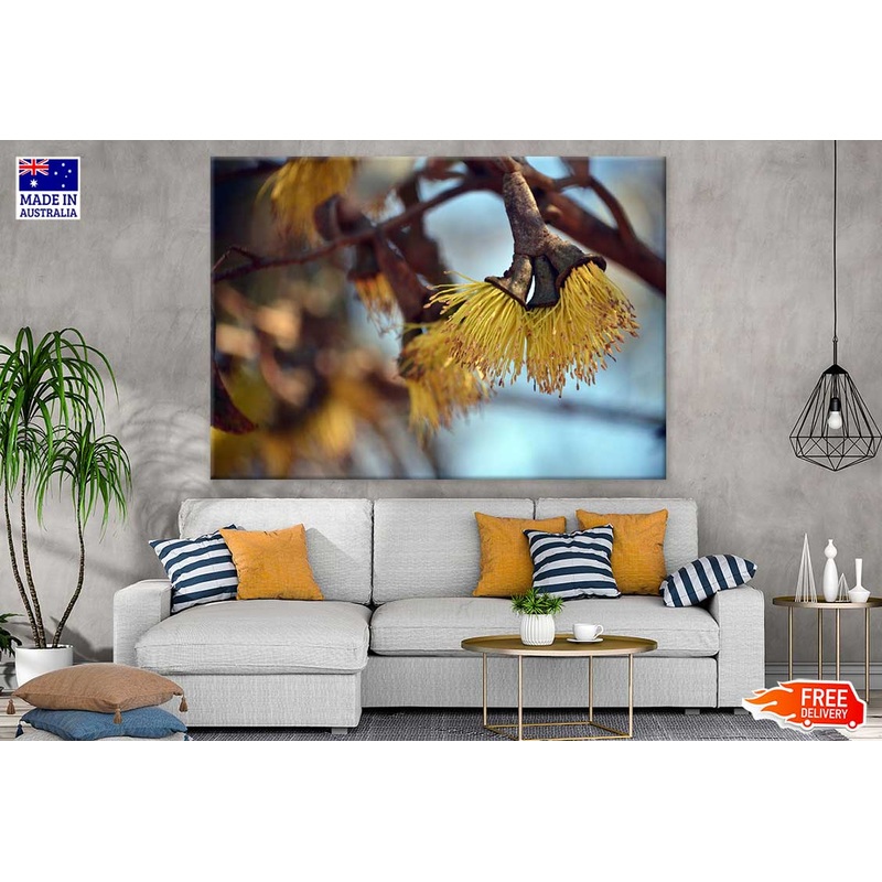 Yellow Blossom Flowers Photograph Print 100% Australian Made