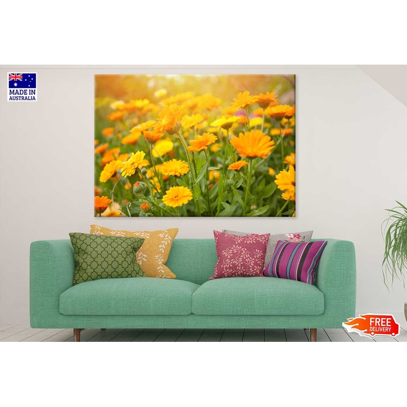 Yellow Calendula Flowers Field View Photograph Print 100% Australian Made