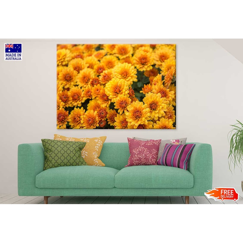 Yellow Chrysanthemum Flowers View Photograph Print 100% Australian Made
