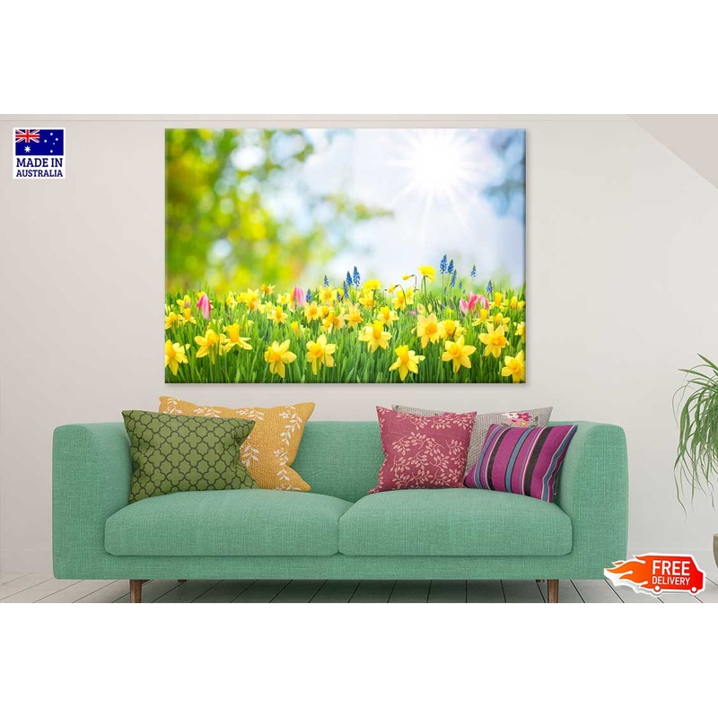 Yellow Daffodil Flowers View Photograh Print 100% Australian Made