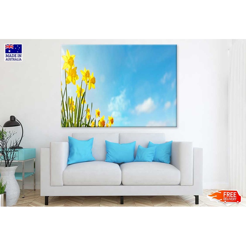 Yellow Daffodils Flowers Sky View Photograph Print 100% Australian Made
