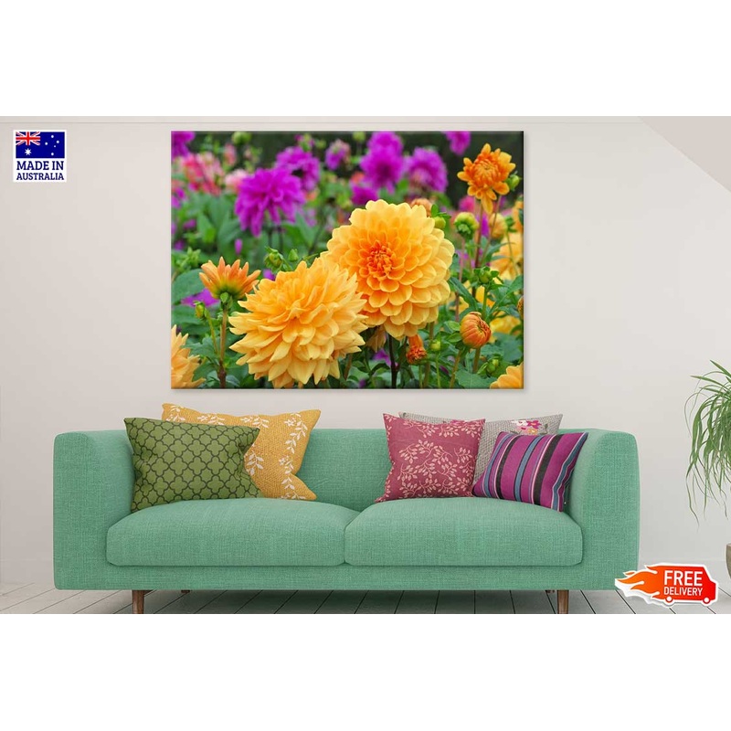 Yellow Dahlia Flowers Photograph Print 100% Australian Made
