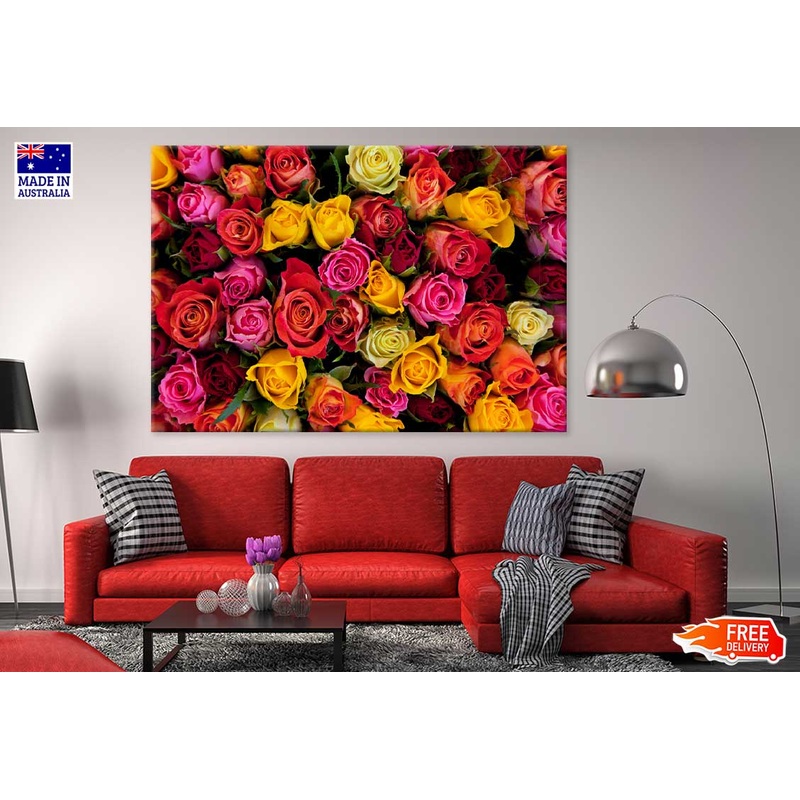 Yellow Red & Pink Roses View Photograph Print 100% Australian Made