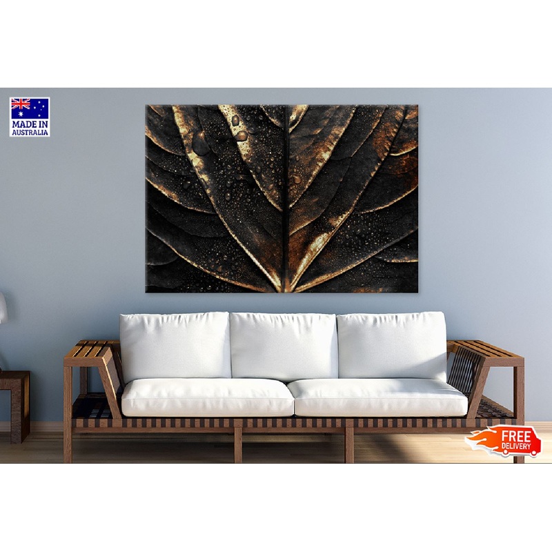 Wet Golden Alocasia Leaf Closeup View Photograph Print 100% Australian Made