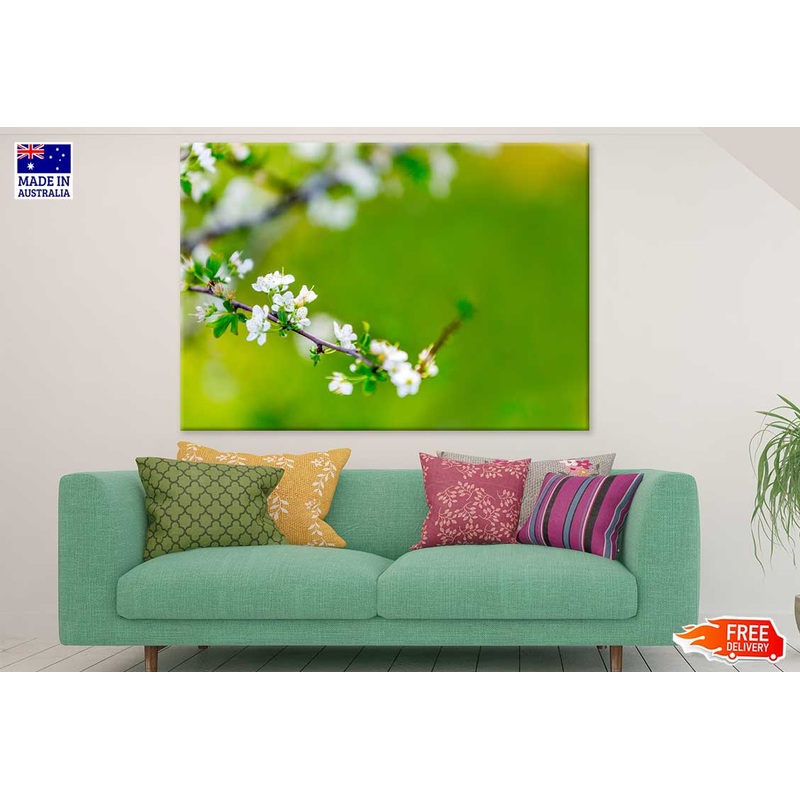 White Blossom Flower Tree Branch View Photograph Print 100% Australian Made