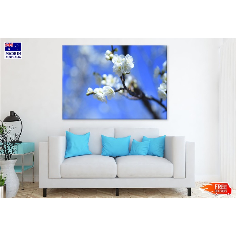 White Blossom Flowers Branch View Photograph Print 100% Australian Made
