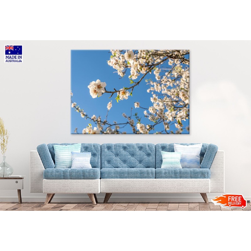 White Blossom Flowers & Sky View Photograph Print 100% Australian Made
