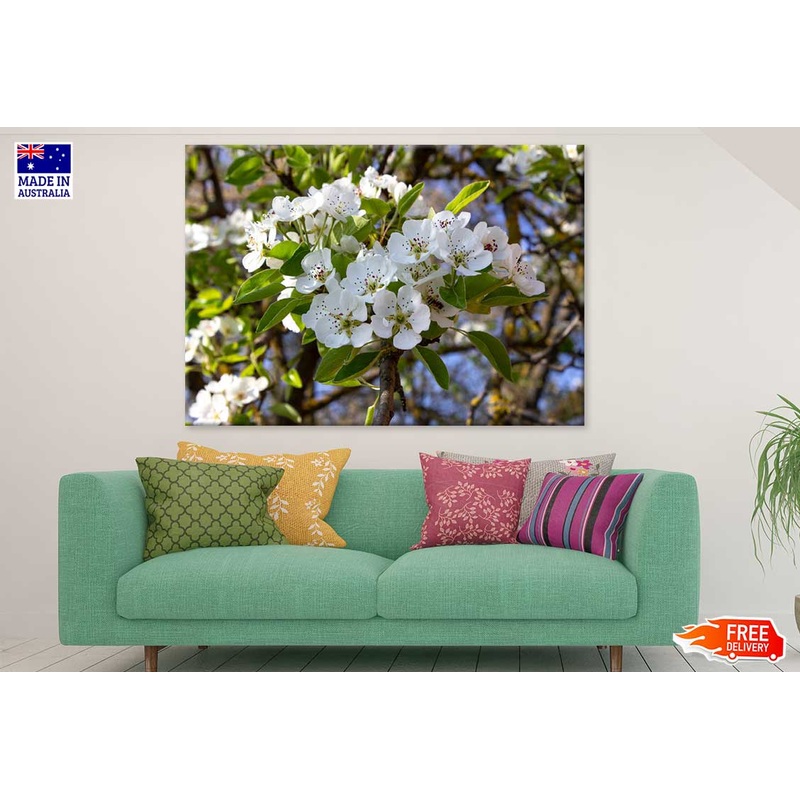 White Cherry Blossom Flowers View Photograph Print 100% Australian Made