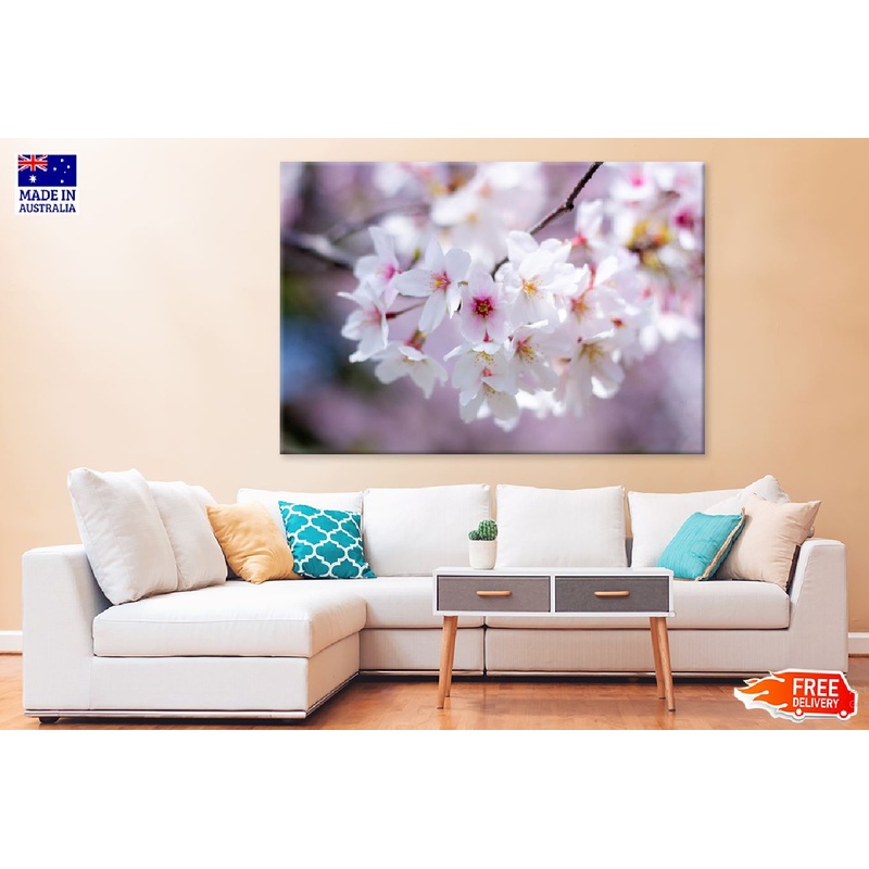 White Cherry Flowers Closeup View Photograph Print 100% Australian Made