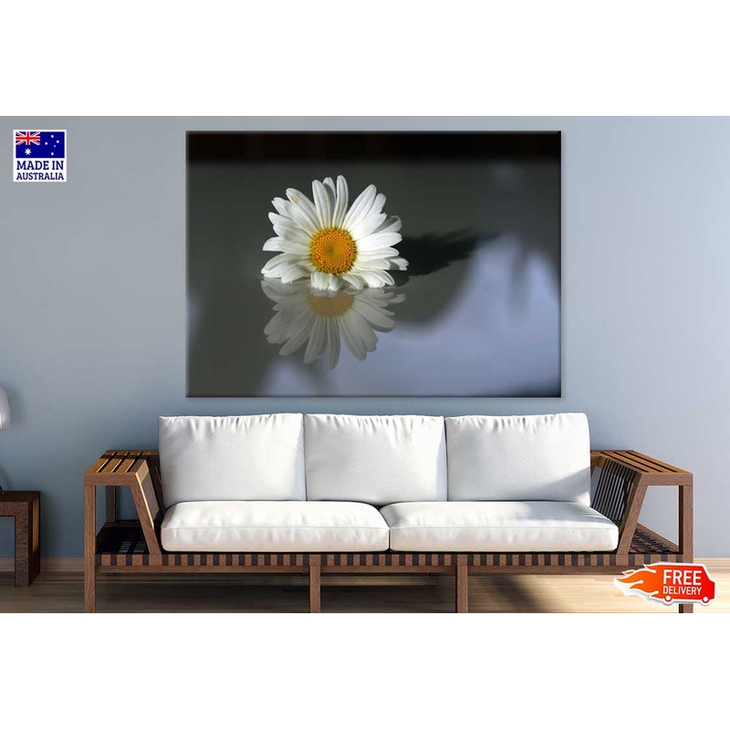 White Daisy Flower Reflection View Photograph Print 100% Australian Made