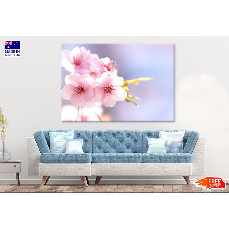 White Pink Flowers Closeup View Photograph Print 100% Australian Made