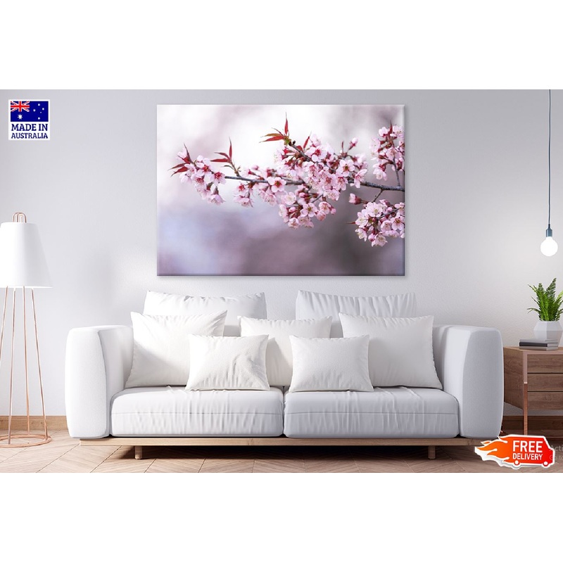 White Pink Prunus Flowers Closeup View Photograph Print 100% Australian Made