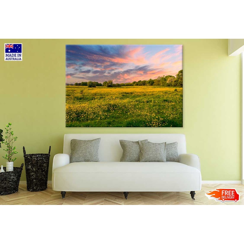 Wild Yellow Flower Field View Photograph Print 100% Australian Made