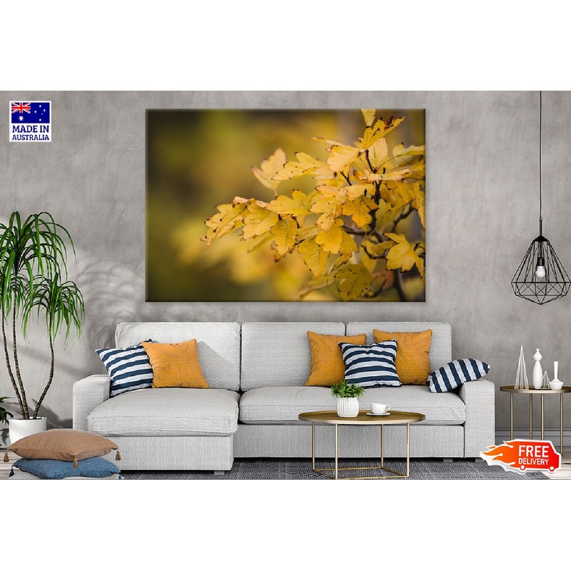 Yellow Autumn Leaves Branch View Photograph Print 100% Australian Made