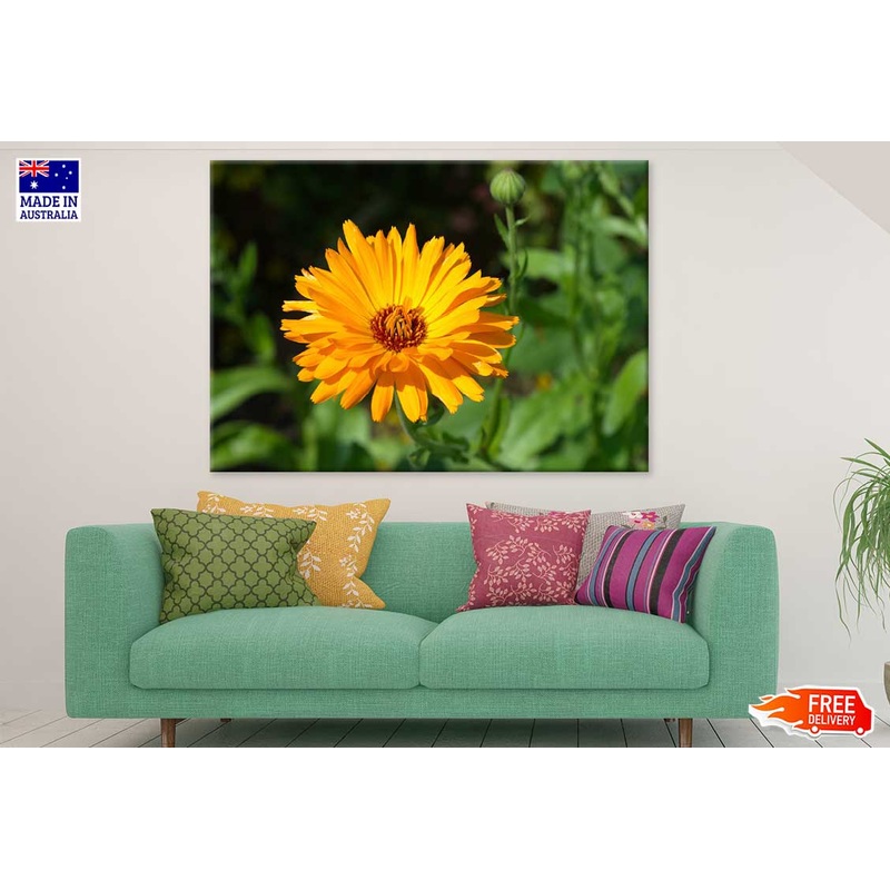 Yellow Calendula Flower Closeup View Photograph Print 100% Australian Made