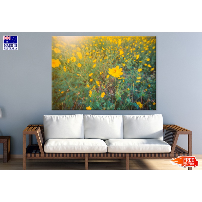 Yellow Flowers Photograph Print 100% Australian Made