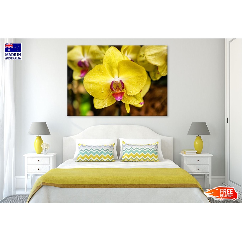 Yellow Orchid Flowers View Photograph Print 100% Australian Made