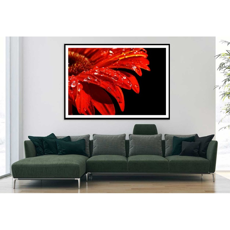 Water Drop on Red Daisy Flower Photograph Home Decor Premium Quality Poster Print Choose Your Sizes