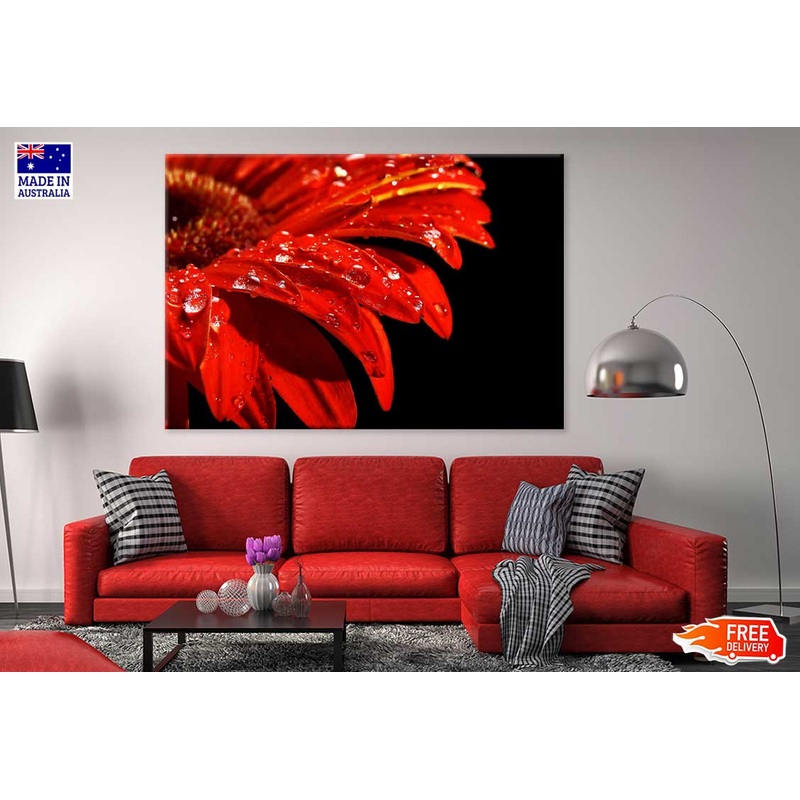 Water Drop on Red Daisy Flower Photograph Print 100% Australian Made