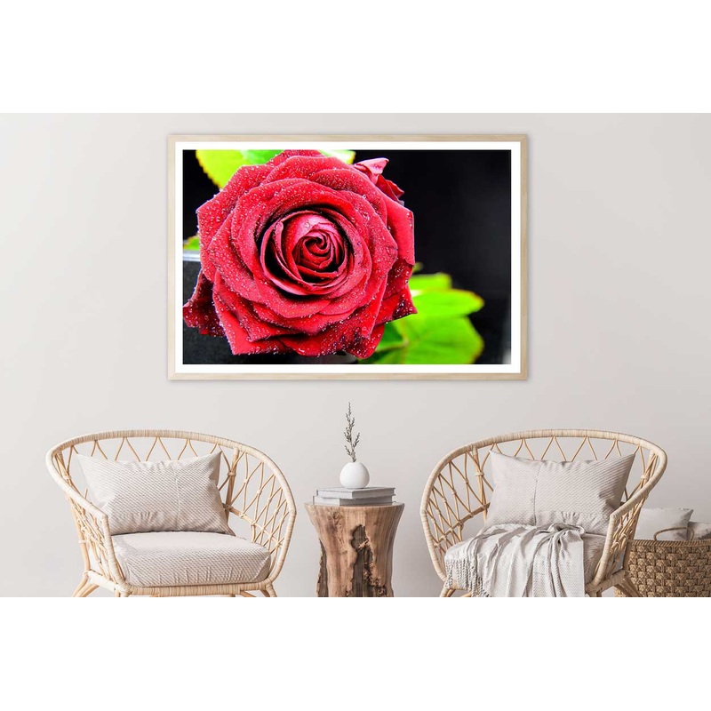 Water Drop on Rose Closeup View Photograph Home Decor Premium Quality Poster Print Choose Your Sizes