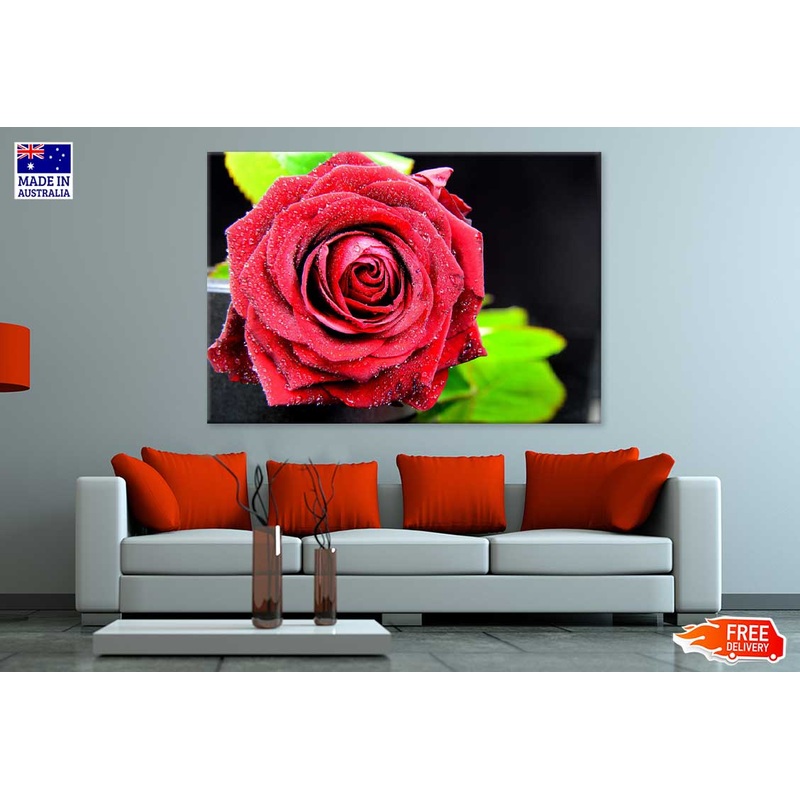 Water Drop on Rose Closeup View Photograph Print 100% Australian Made