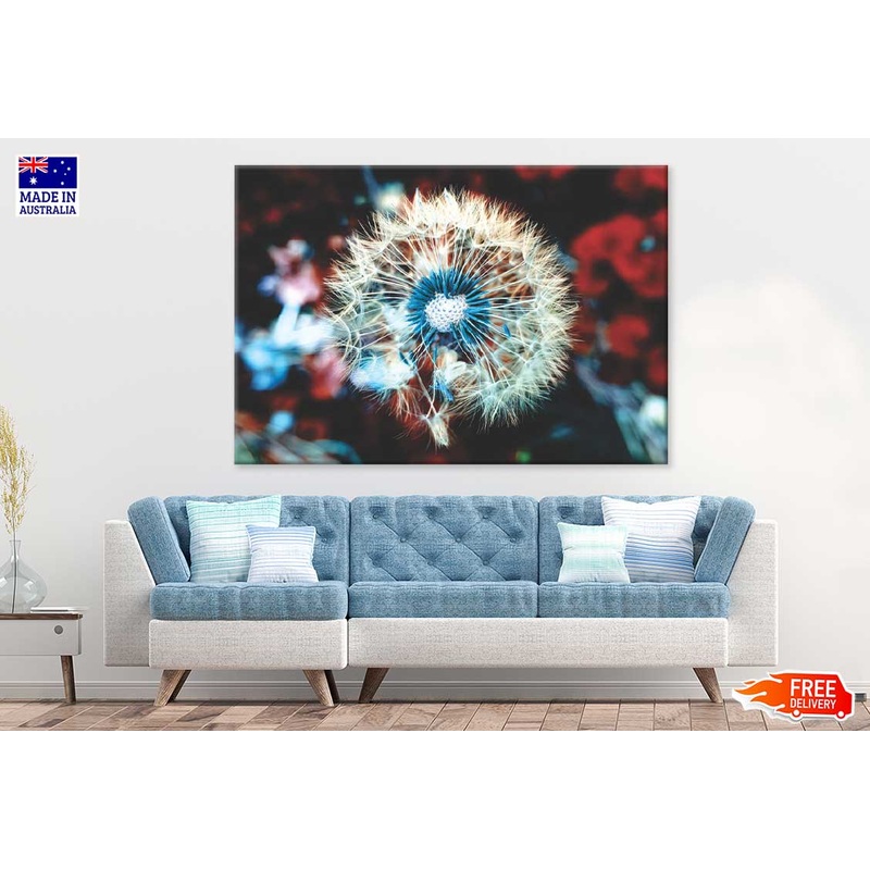 White Blue Dandelion Closeup View Photograph Print 100% Australian Made