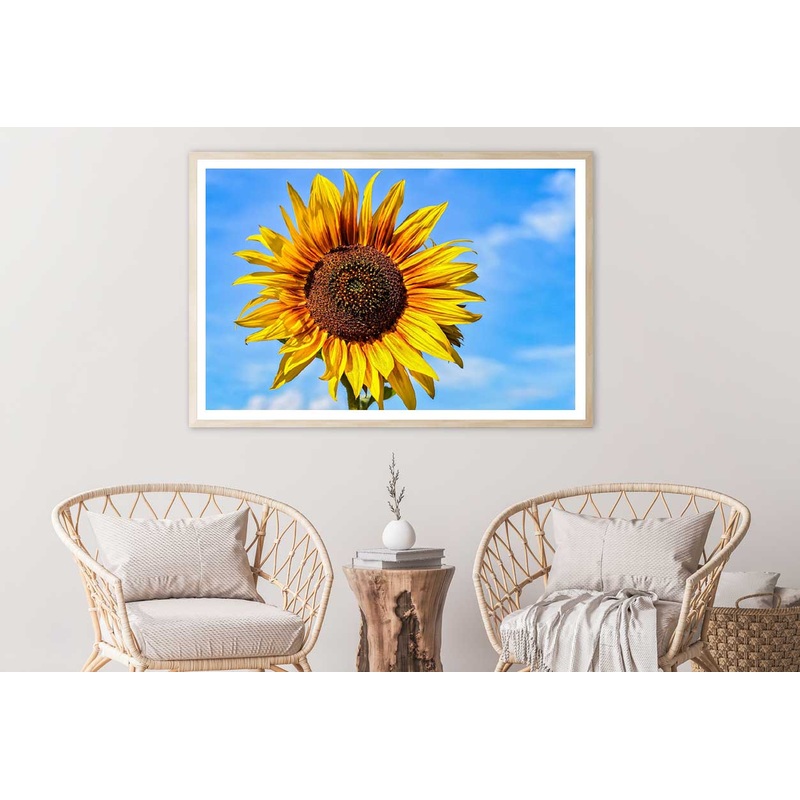 White Chickweeds Flower View Home Decor Premium Quality Poster Print Choose Your Sizes