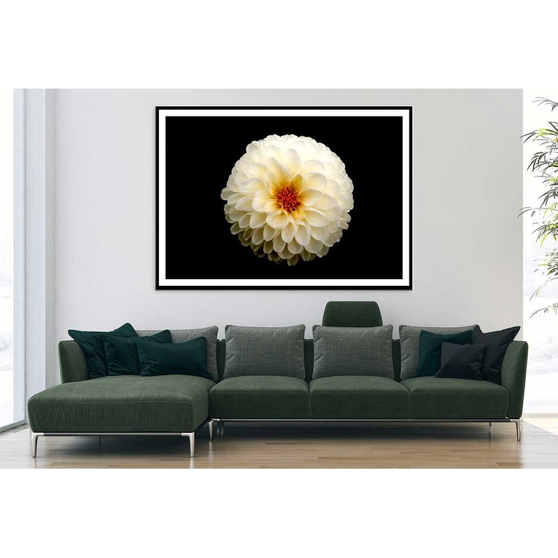 White Dahlia Flower on Dark View Photograph Home Decor Premium Quality Poster Print Choose Your Sizes