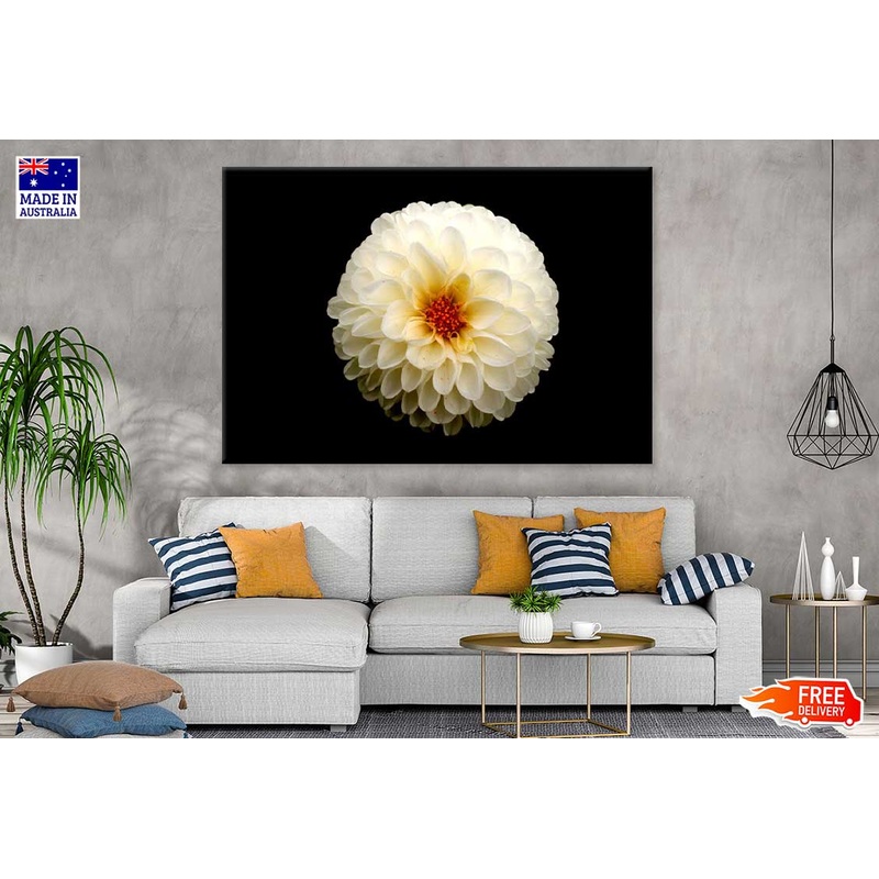 White Dahlia Flower on Dark View Photograph Print 100% Australian Made