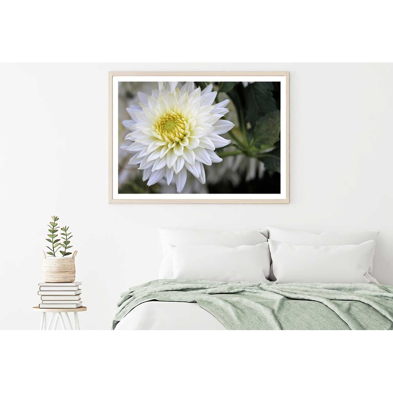 White Dahlia Flower View Photograph Home Decor Premium Quality Poster Print Choose Your Sizes
