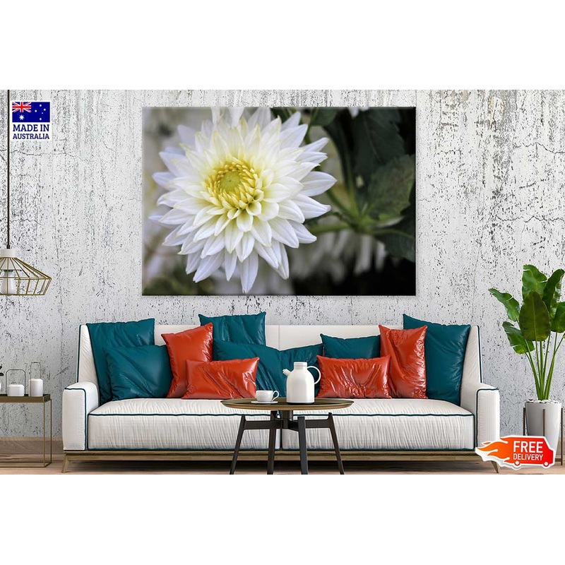 White Dahlia Flower View Photograph Print 100% Australian Made