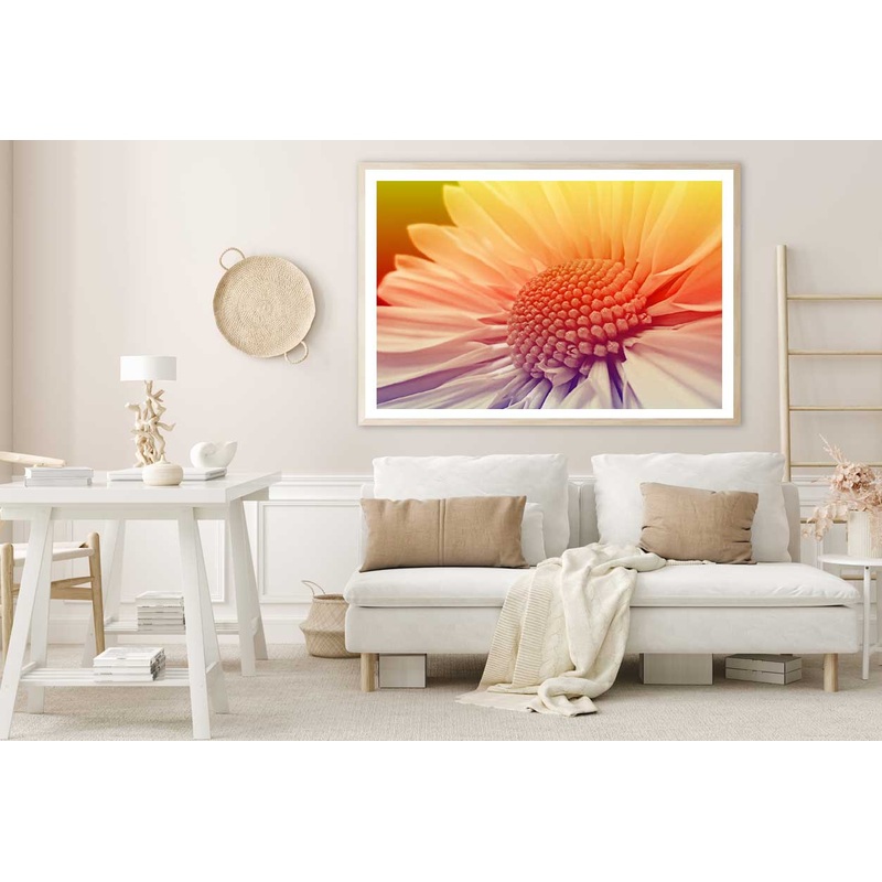 White Daisy Closeup Sunset View Photograph Home Decor Premium Quality Poster Print Choose Your Sizes