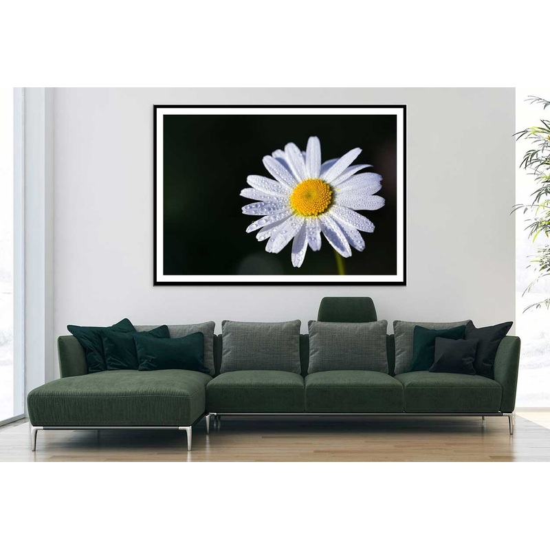 White Daisy Flower on Dark View Photograph Home Decor Premium Quality Poster Print Choose Your Sizes