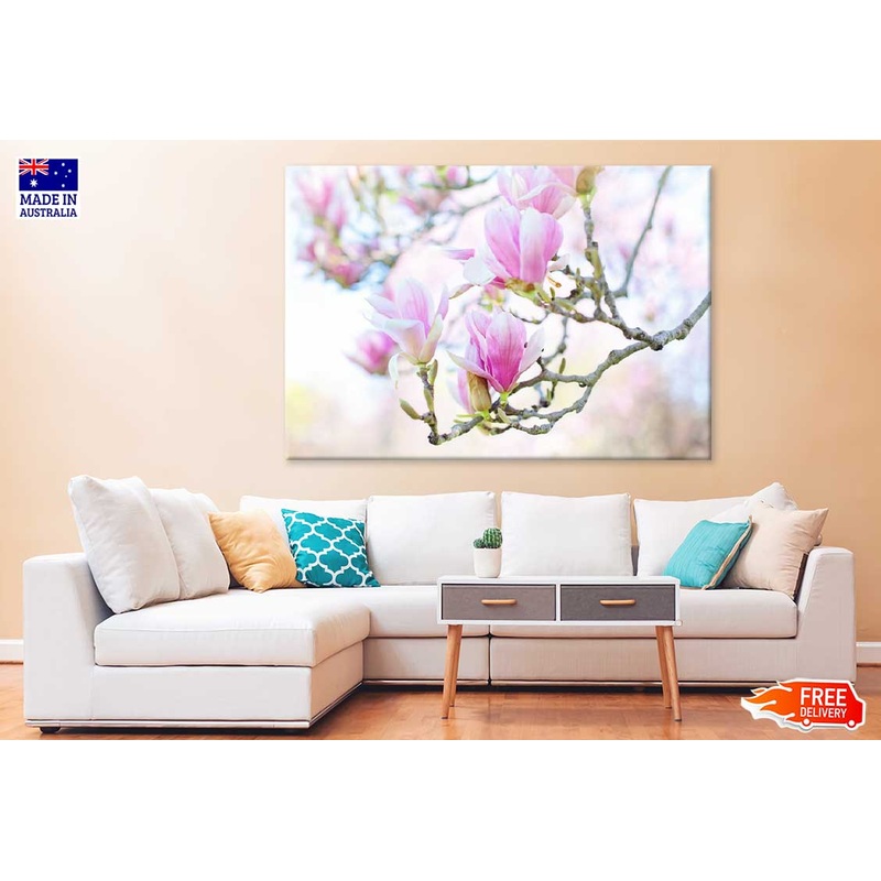 White Pink Magnolia Flowers View Photograph Print 100% Australian Made
