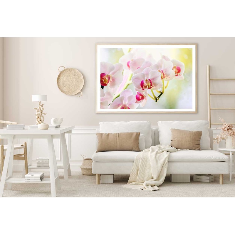 White Pink Orchid Flowers View Home Decor Premium Quality Poster Print Choose Your Sizes
