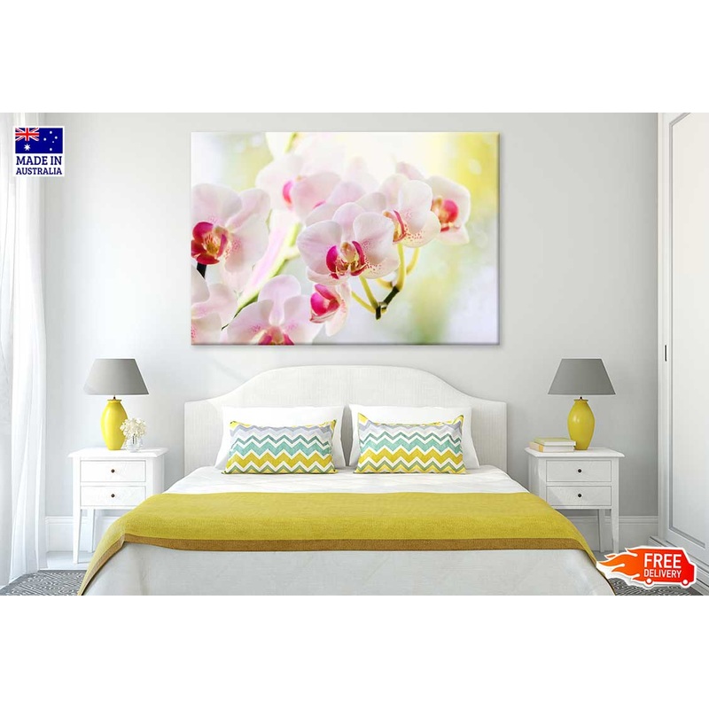 White Pink Orchid Flowers View Photograph Print 100% Australian Made